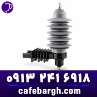 Surge Arrester